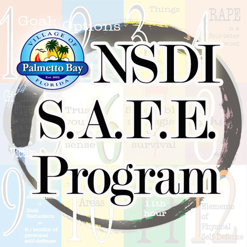 Safe Logo.jpg